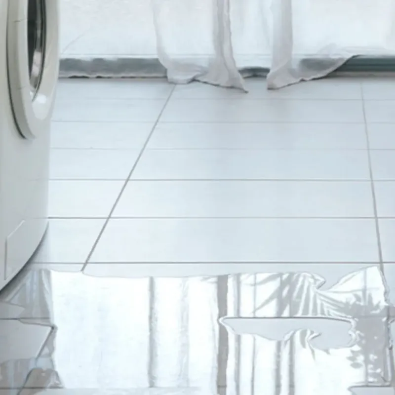 Appliance Leak Cleanup in Crystal Lake, FL