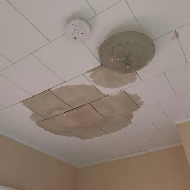 Ceiling Water Damage Repair in Crystal Lake, FL
