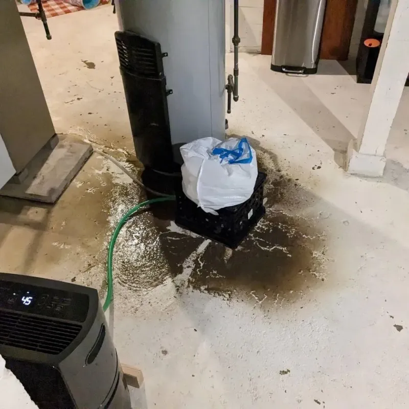 Sewage Backup Cleanup Service in Crystal Lake, FL